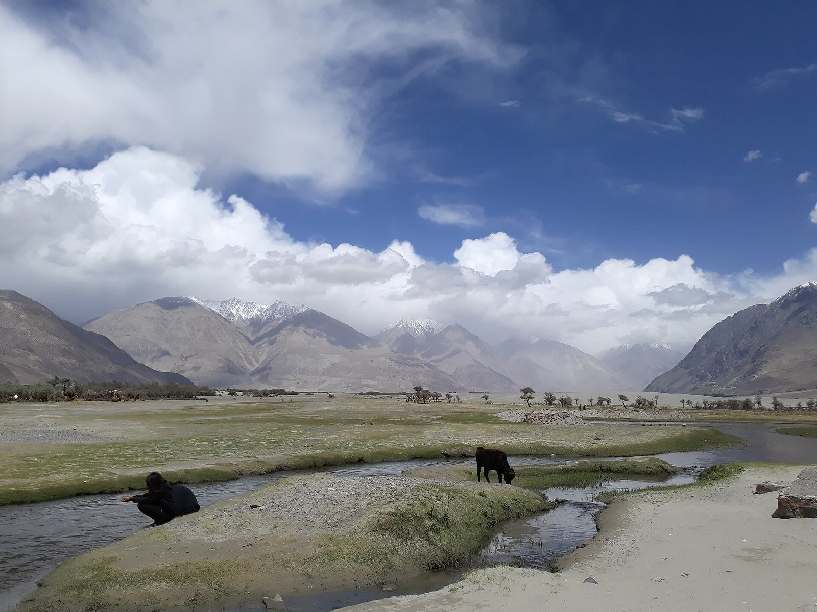 Nubra Valley Kashmir destination photo